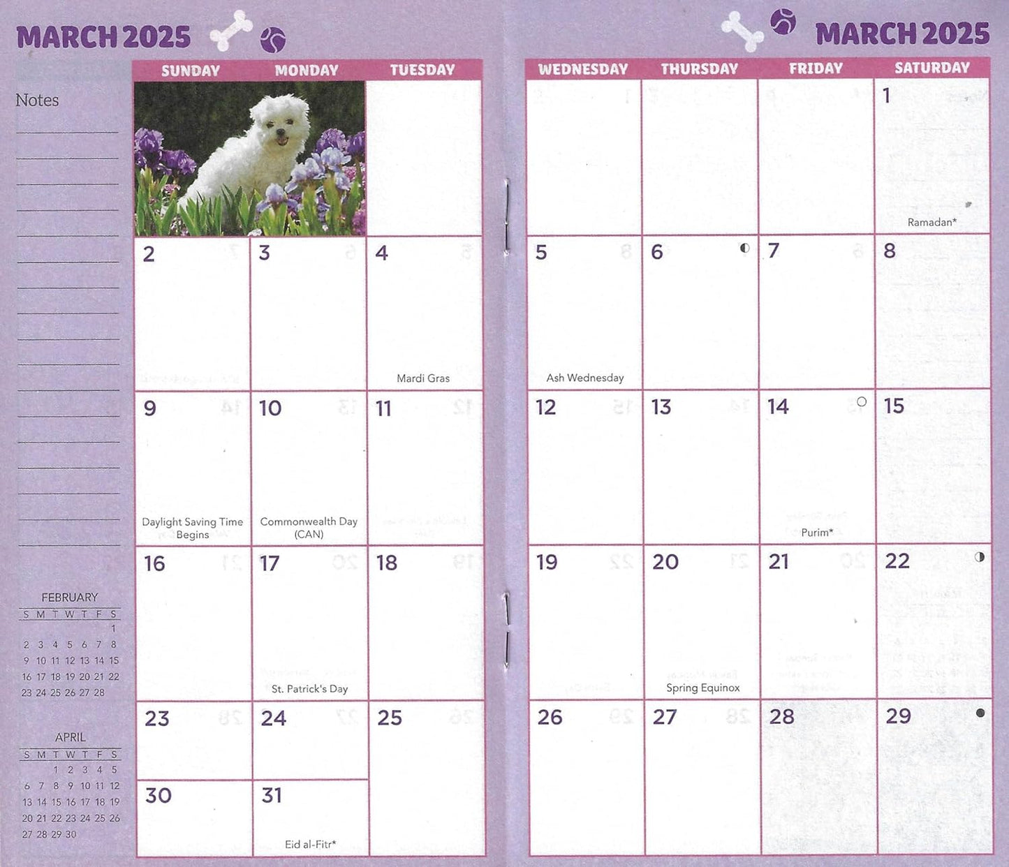 2024-2025 Value Pocket Calendar for Planning, Scheduling, and Organizing (Puppies)