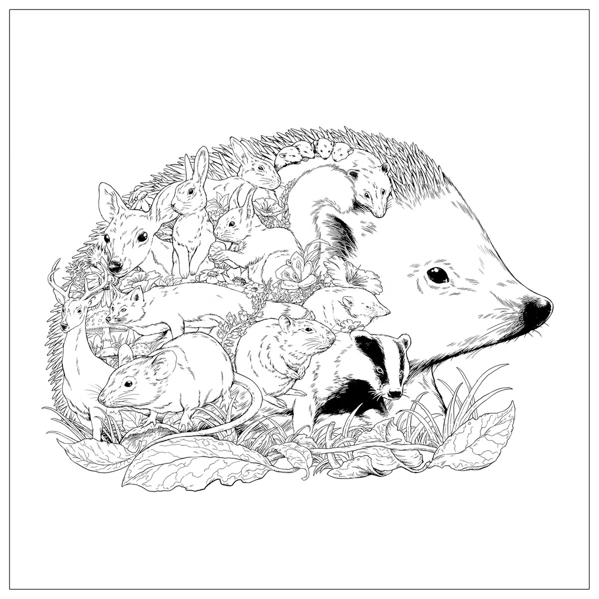 Imaginaria: In the Garden: An Artist's Coloring Book of Birds and Flowers Inside