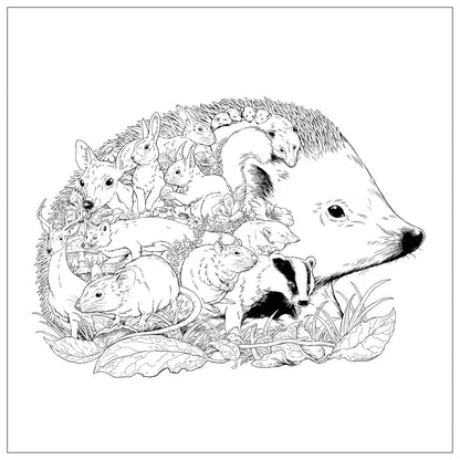 Imaginaria: In the Garden: An Artist's Coloring Book of Birds and Flowers Inside