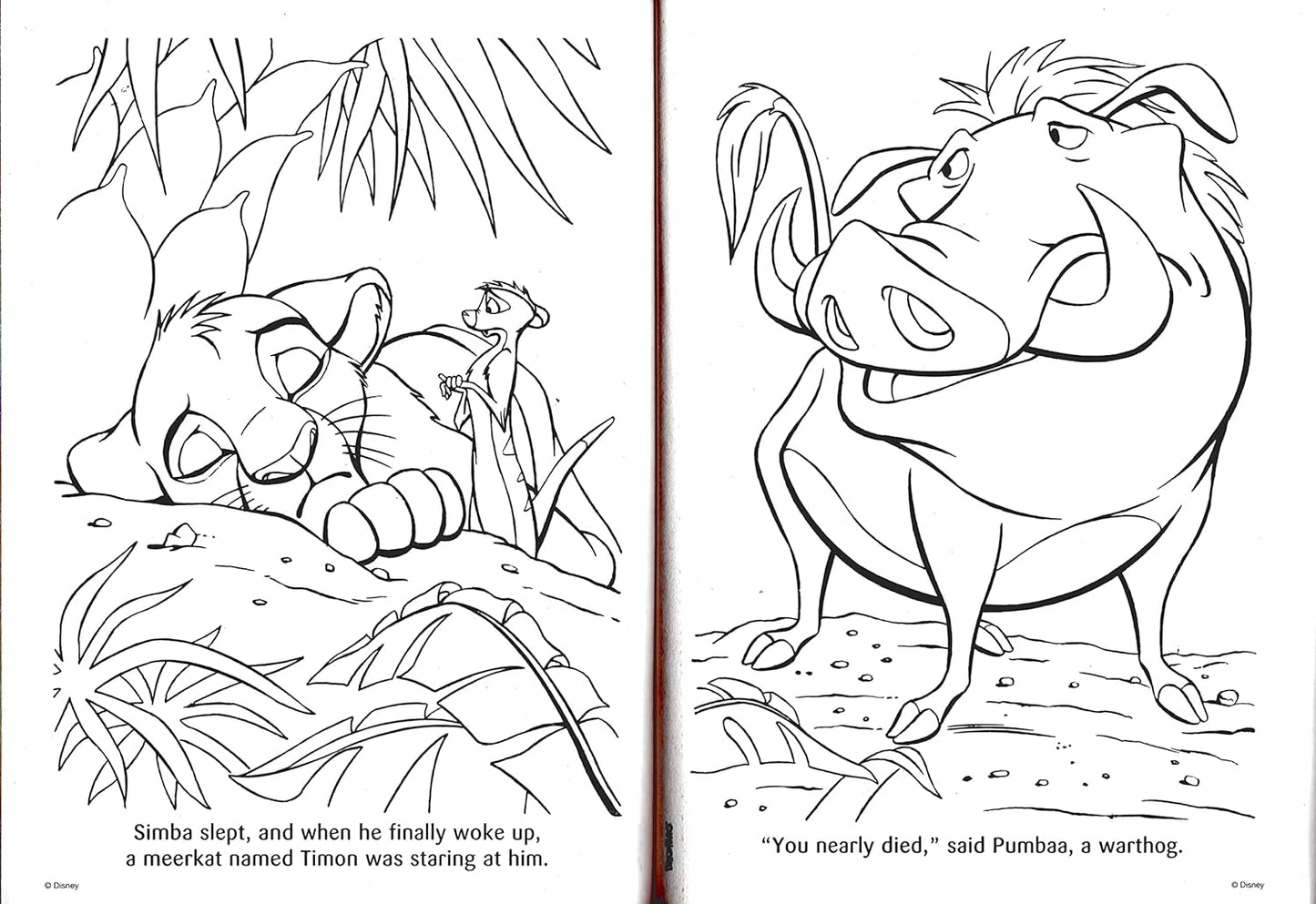 Disney The Lion King - Wild Fun & Friends with the King - Coloring & Activity Book (Set of 2 Books)