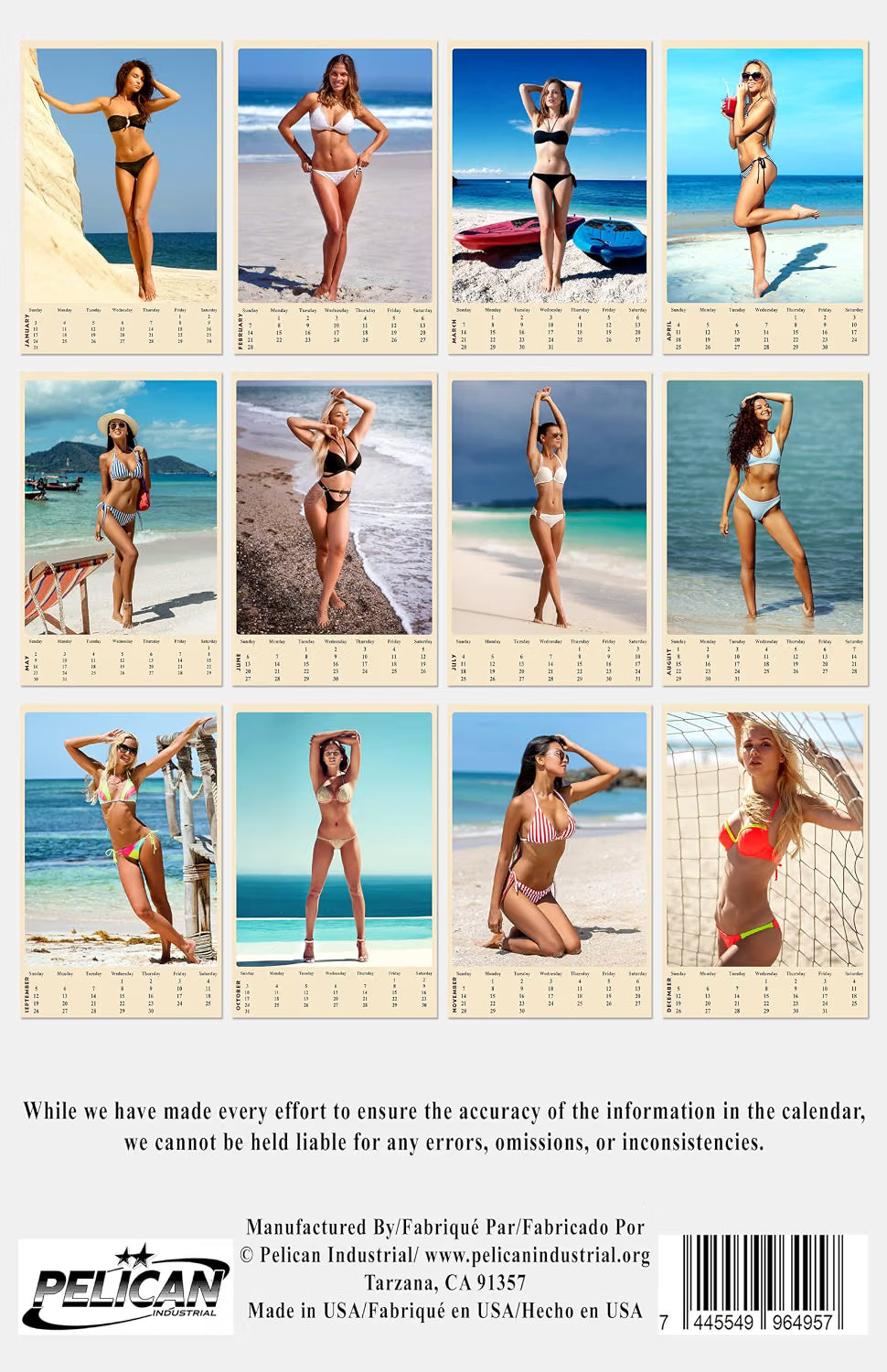 2027 Wall Oversized Poster Swimsuit Bikini Women Calendar - 12 Months v2