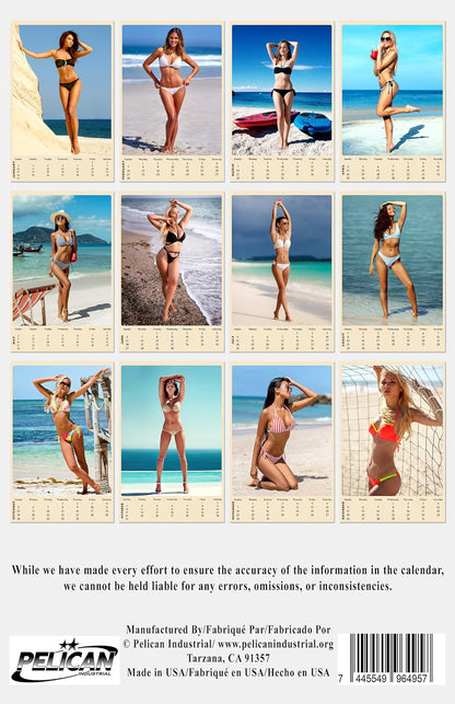 2027 Wall Oversized Poster Swimsuit Bikini Women Calendar - 12 Months v2