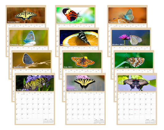 2024 Wall Calendar Spiral-bound Twin-Wire Binding - 12 Months (Butterfly)