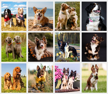 2027-12 Months Desk Calendar Desktop Planner with To-Do List (Dogs)