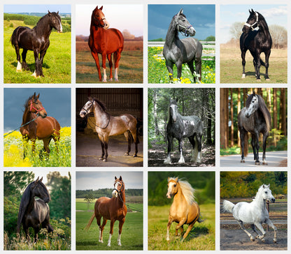2027-12 Months Desk Calendar Desktop Planner with To-Do List (Horses)
