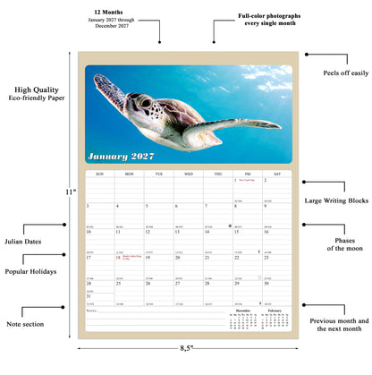 2027 Calendar Magnetic Peel & Stick 12 Months 8.5" x 11" Turtles