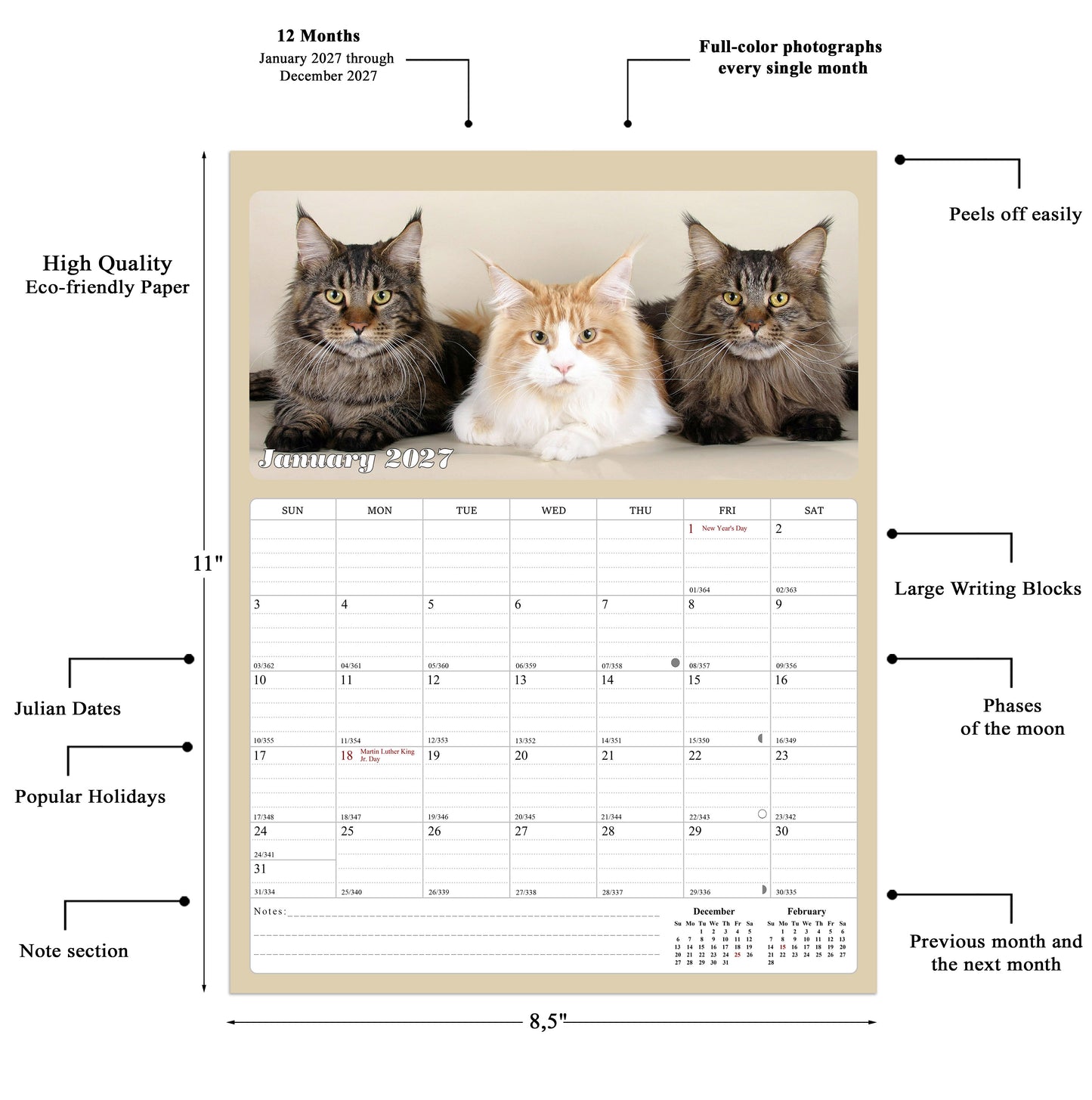 2027 Calendar Magnetic Peel & Stick 12 Months 8.5" x 11" Cats