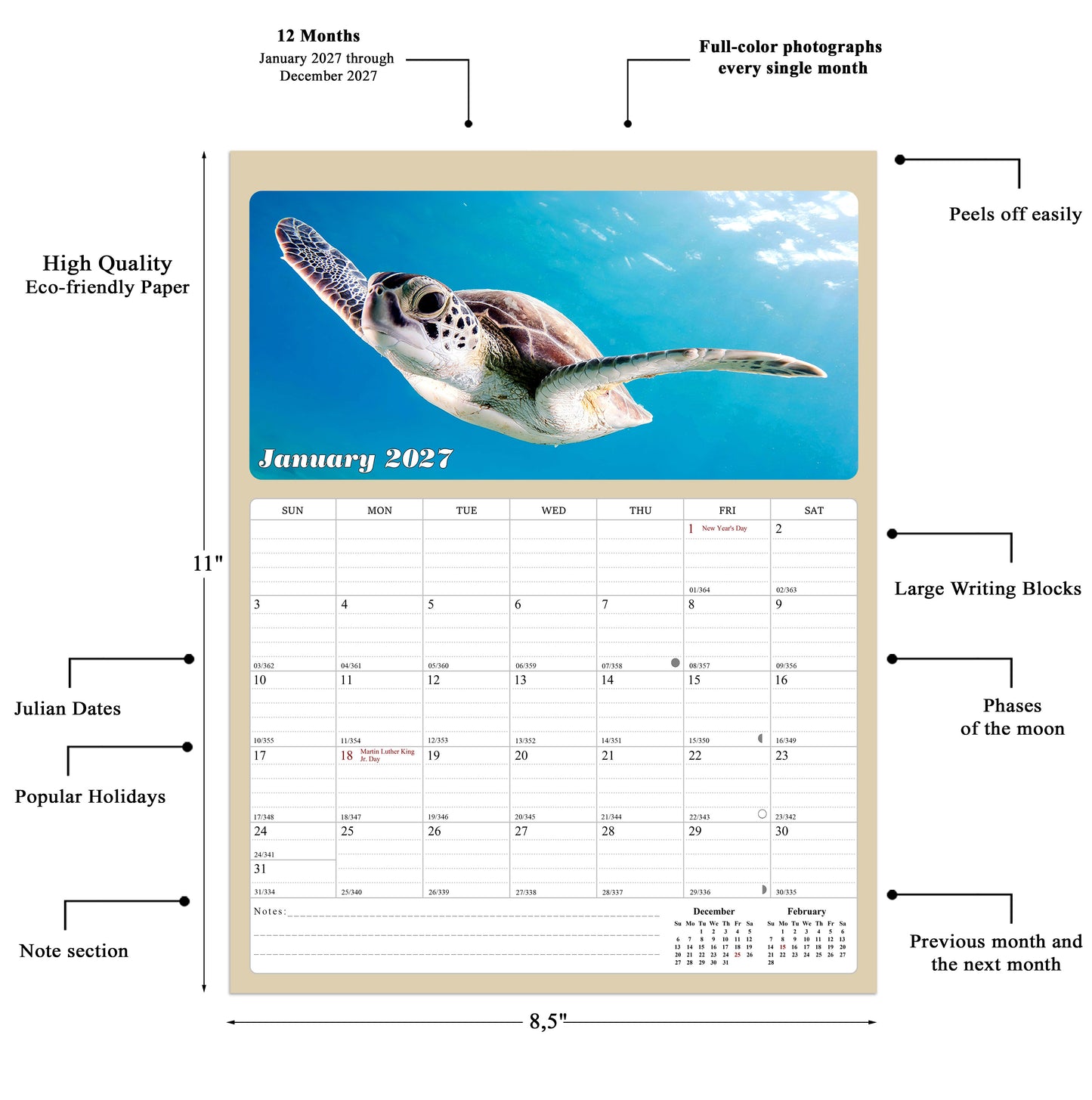 2026 - 2027 Calendar Magnetic Peel & Stick 18 Months 8.5" x 11" Turtles