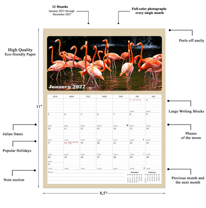 2027 Calendar Magnetic Peel & Stick 12 Months 8.5" x 11" Birds