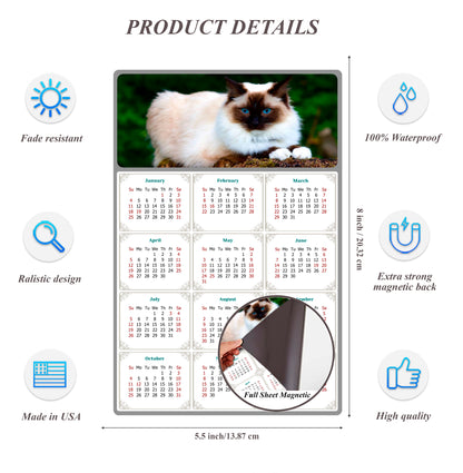 2026 Magnetic Calendar - Today is My Lucky Day (Fade, Tear, and Water Resistant)- Cat Themed 02
