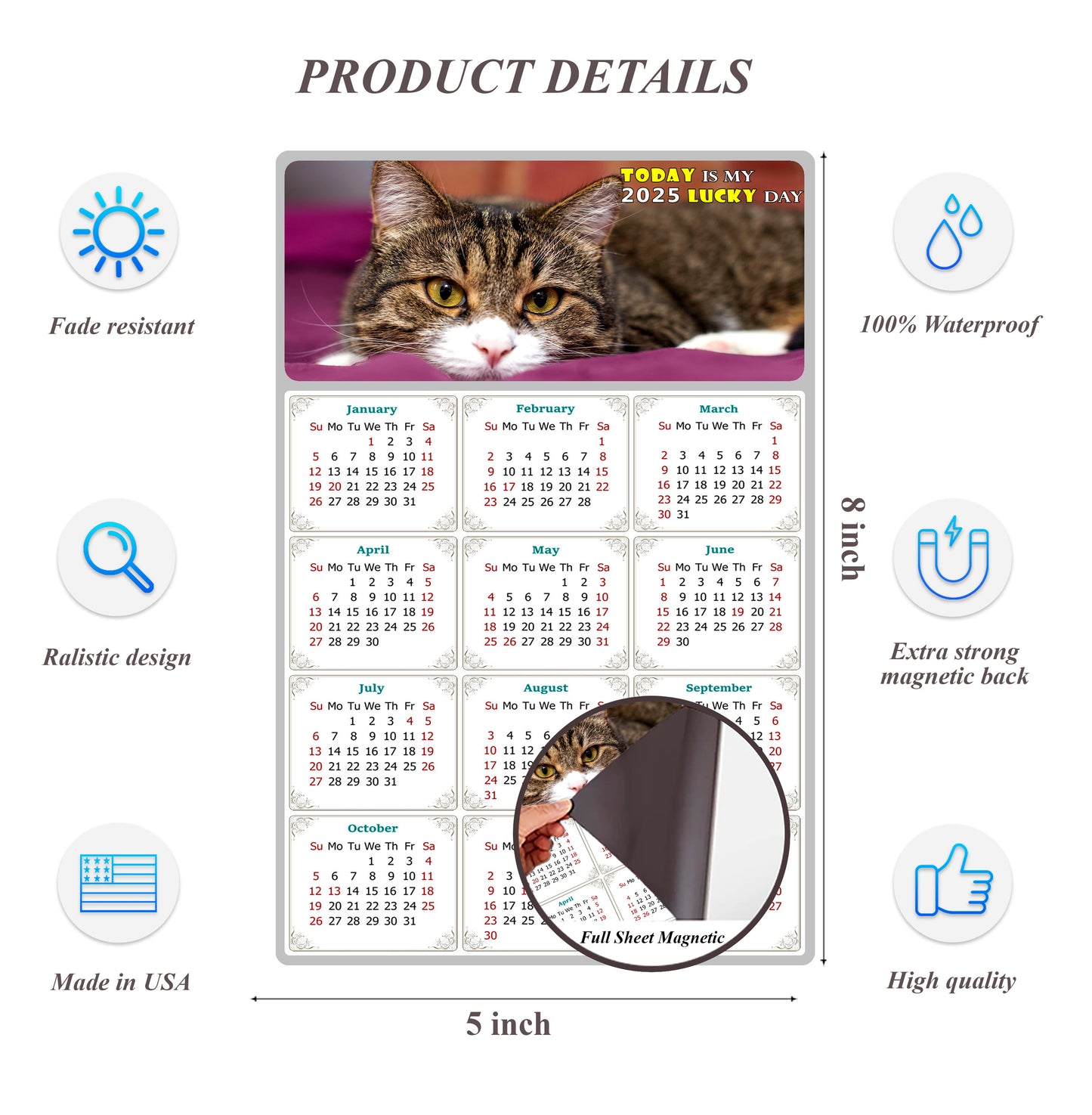 2025 Magnetic Calendar - Today is My Lucky Day (Fade, Tear, and Water Resistant)- Cat Themed 022