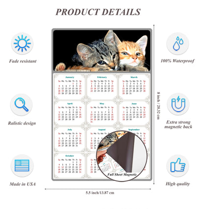 2026 Magnetic Calendar - Today is My Lucky Day (Fade, Tear, and Water Resistant)- Cat Themed 010