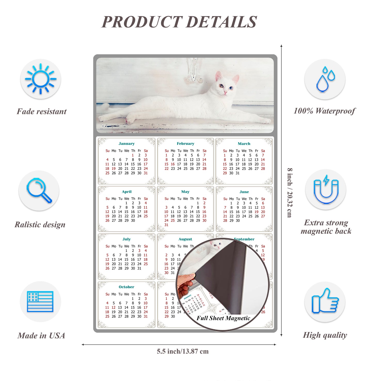 2026 Magnetic Calendar - Today is My Lucky Day (Fade, Tear, and Water Resistant)- Cat Themed 06