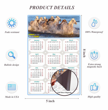 2025 Magnetic Calendar - Calendar Magnets - Today is my Lucky Day - (Fade, Tear, and Water Resistant) - Horses Themed 08