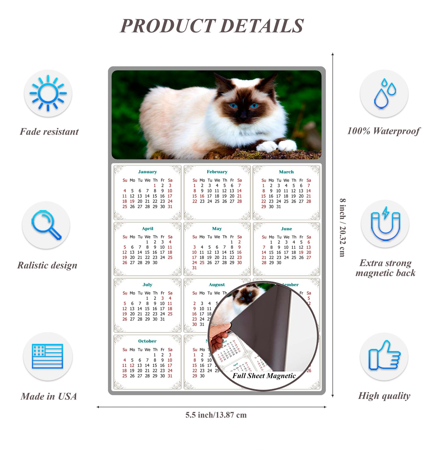 2026 Magnetic Calendar - Today is My Lucky Day (Fade, Tear, and Water Resistant)- Cat Themed 02