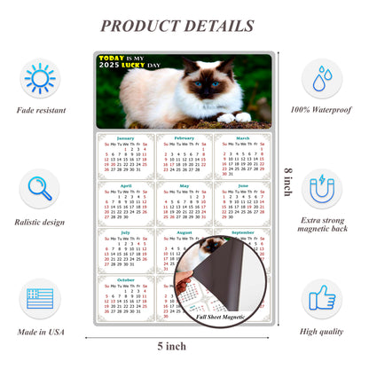 2025 Magnetic Calendar - Today is My Lucky Day (Fade, Tear, and Water Resistant)- Cat Themed 02