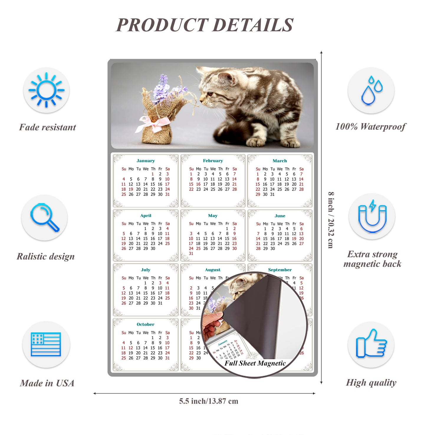 2026 Magnetic Calendar - Today is My Lucky Day (Fade, Tear, and Water Resistant)- Cat Themed 025