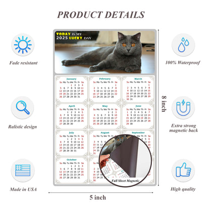 2025 Magnetic Calendar - Today is My Lucky Day (Fade, Tear, and Water Resistant)- Cat Themed 014