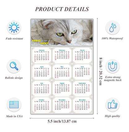 2027 Magnetic Calendar - Today is My Lucky Day (Fade, Tear, and Water Resistant)- Cat Themed 01