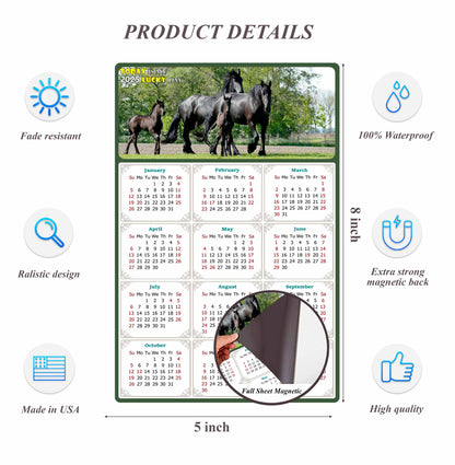 2025 Magnetic Calendar - Calendar Magnets - Today is my Lucky Day - (Fade, Tear, and Water Resistant) - Horses Themed 05