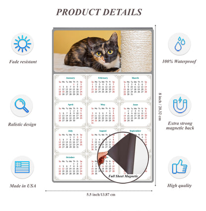 2026 Magnetic Calendar - Today is My Lucky Day (Fade, Tear, and Water Resistant)- Cat Themed 024
