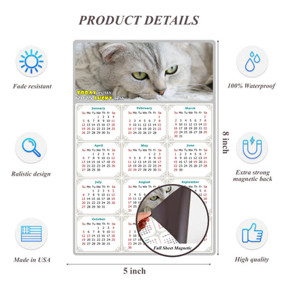 2025 Magnetic Calendar - Today is My Lucky Day (Fade, Tear, and Water Resistant)- Cat Themed 01