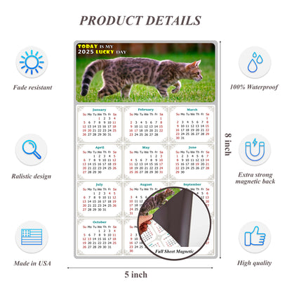2025 Magnetic Calendar - Today is My Lucky Day (Fade, Tear, and Water Resistant)- Cat Themed 09