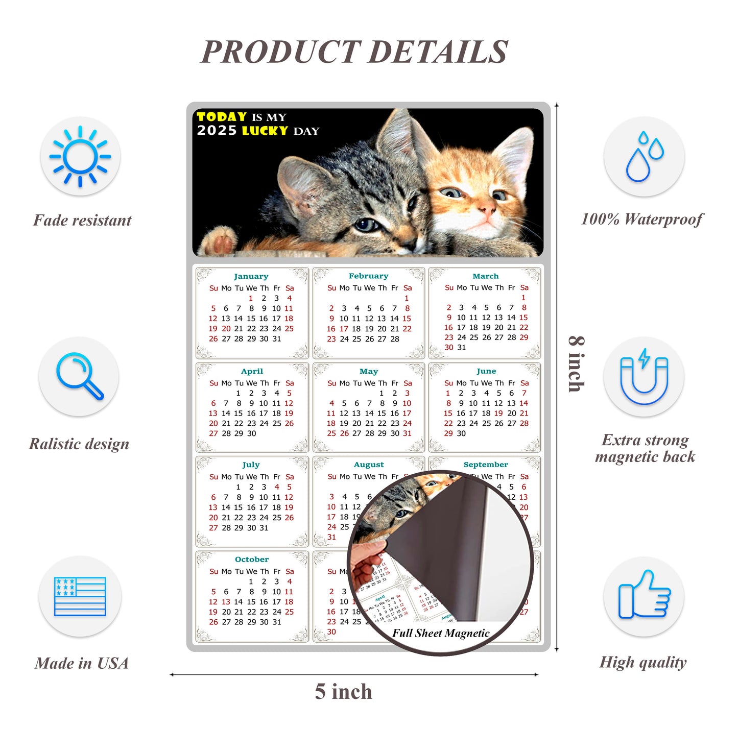 2025 Magnetic Calendar - Today is My Lucky Day (Fade, Tear, and Water Resistant)- Cat Themed 010
