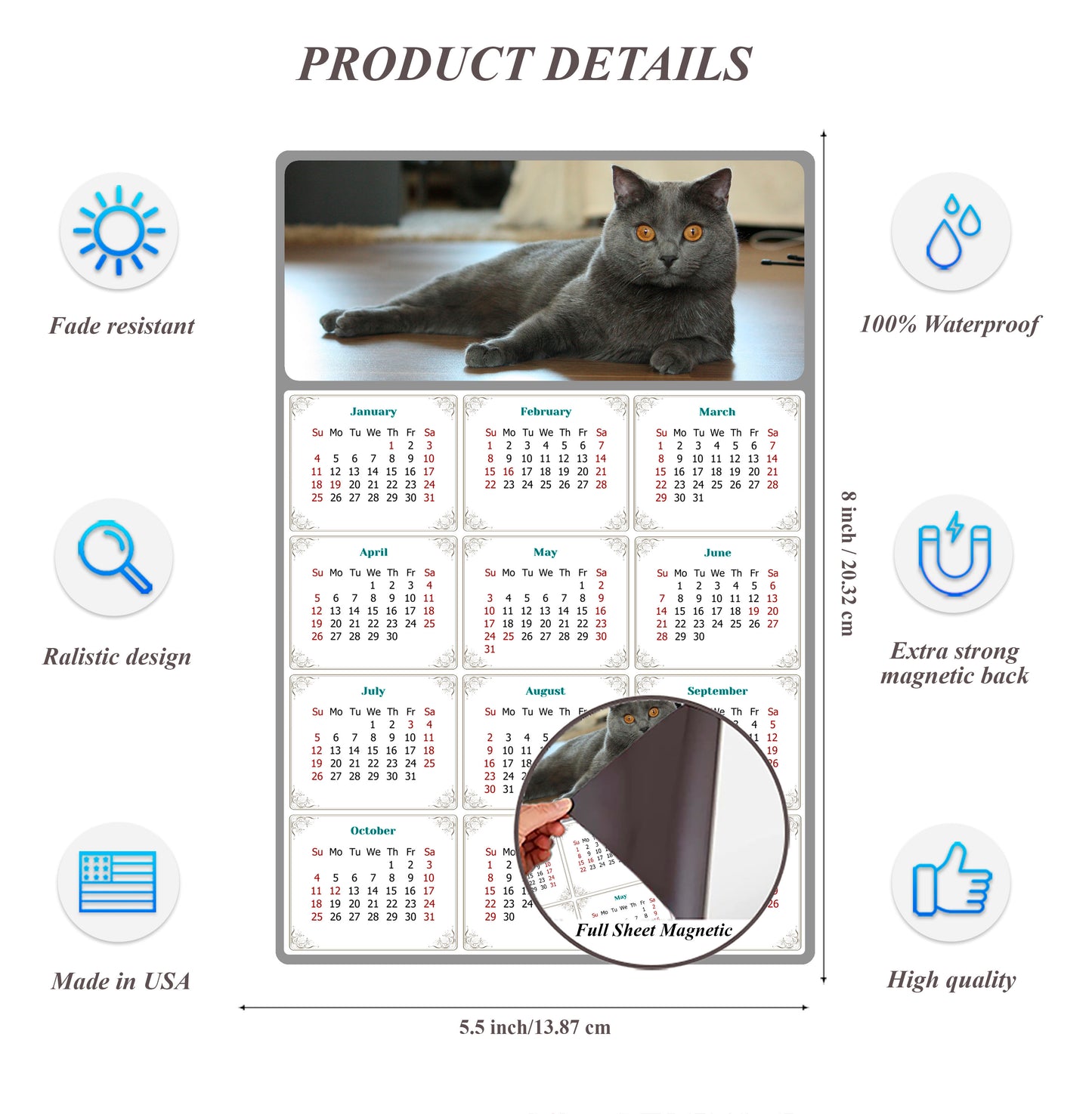 2026 Magnetic Calendar - Today is My Lucky Day (Fade, Tear, and Water Resistant)- Cat Themed 014