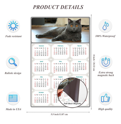 2026 Magnetic Calendar - Today is My Lucky Day (Fade, Tear, and Water Resistant)- Cat Themed 014