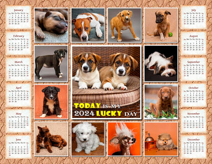 2024 Magnetic Calendar (Dogs) - Calendar Photo Collage Magnets - Today is my Lucky Day - (Fade, Tear, and Water Resistant)
