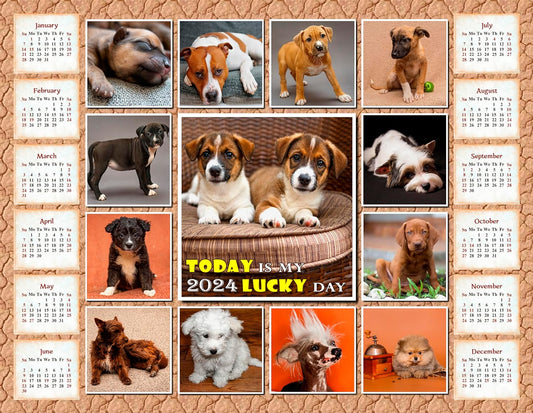 2024 Magnetic Calendar (Dogs) - Calendar Photo Collage Magnets - Today is my Lucky Day - (Fade, Tear, and Water Resistant)