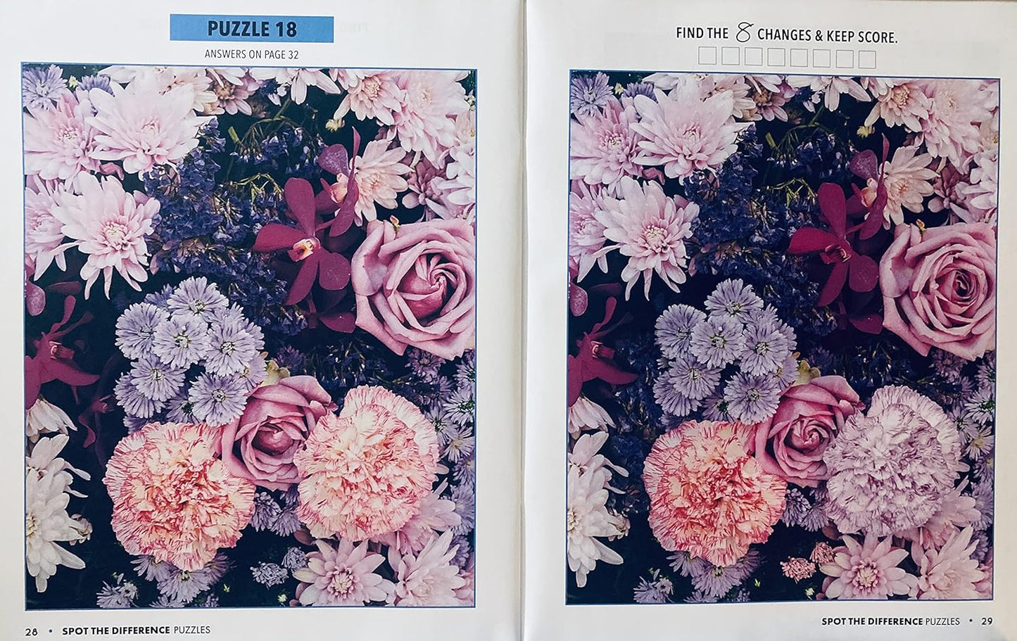 Spot the Difference for Older Adults
