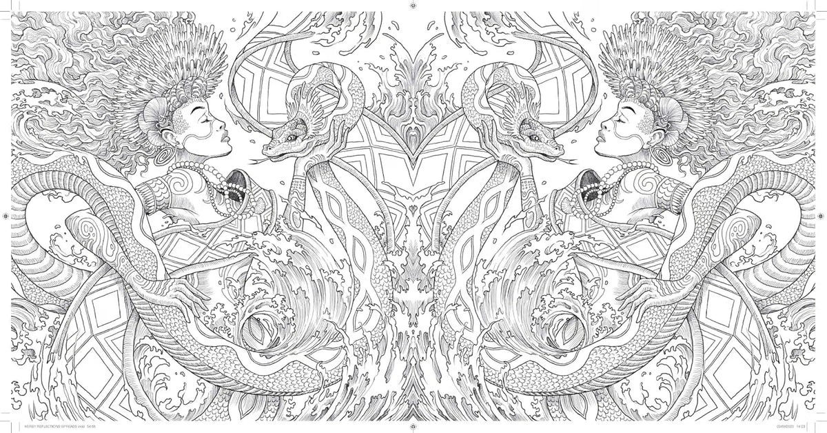 Reflections: A Celebration of Strange Symmetry. Paperback Book