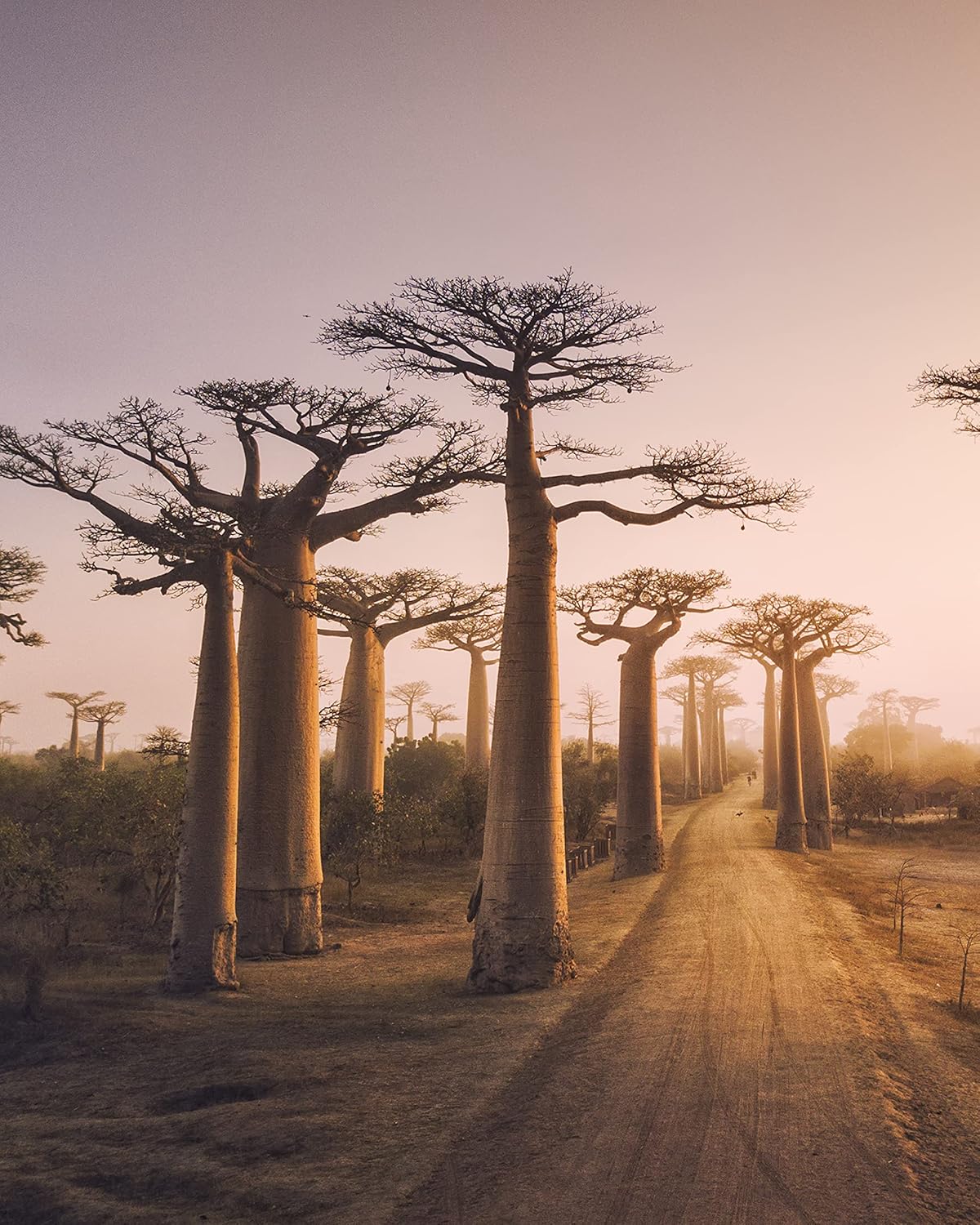 Dream Walls Collage Kit. Paperback Book