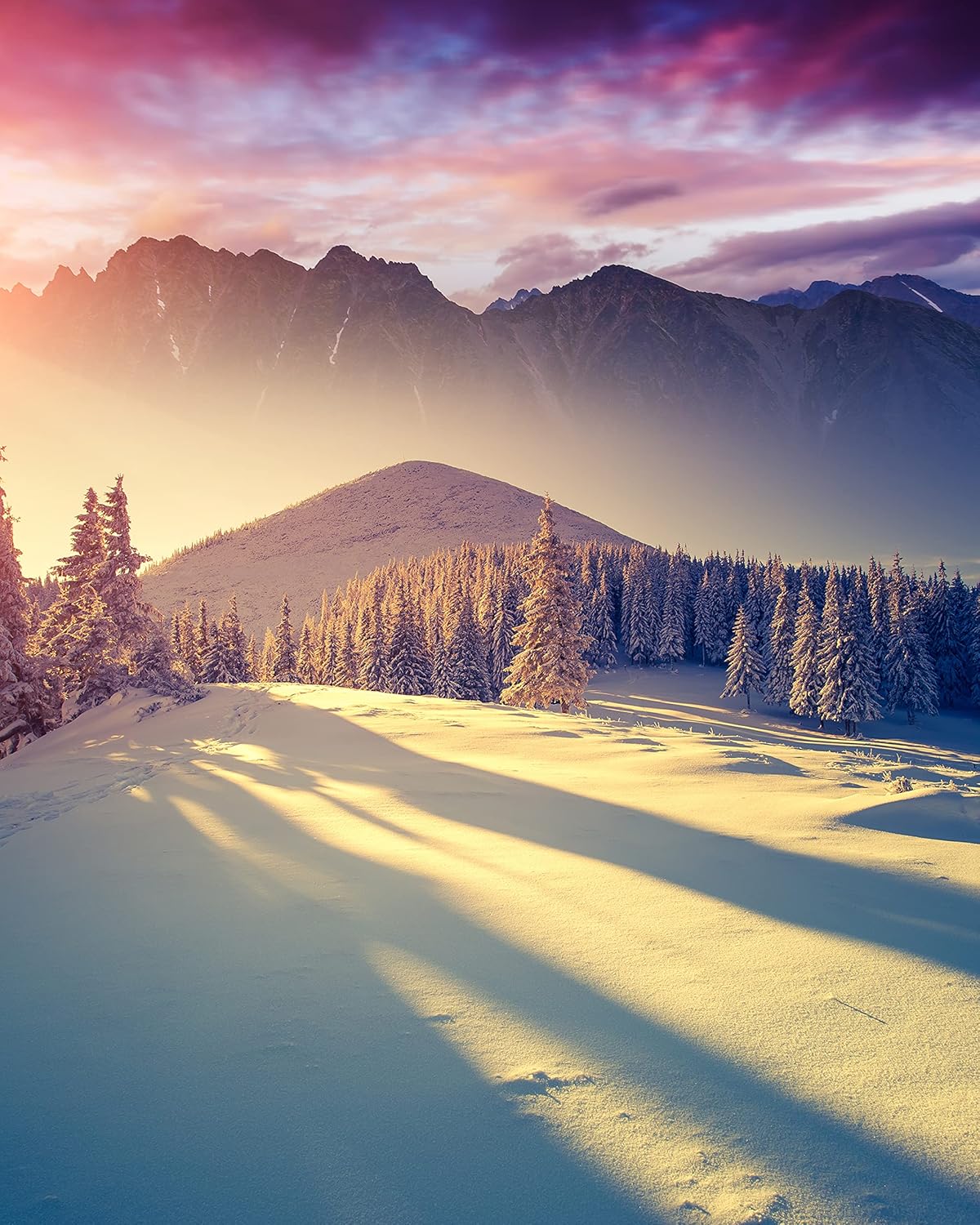 Dream Walls Collage Kit. Paperback Book