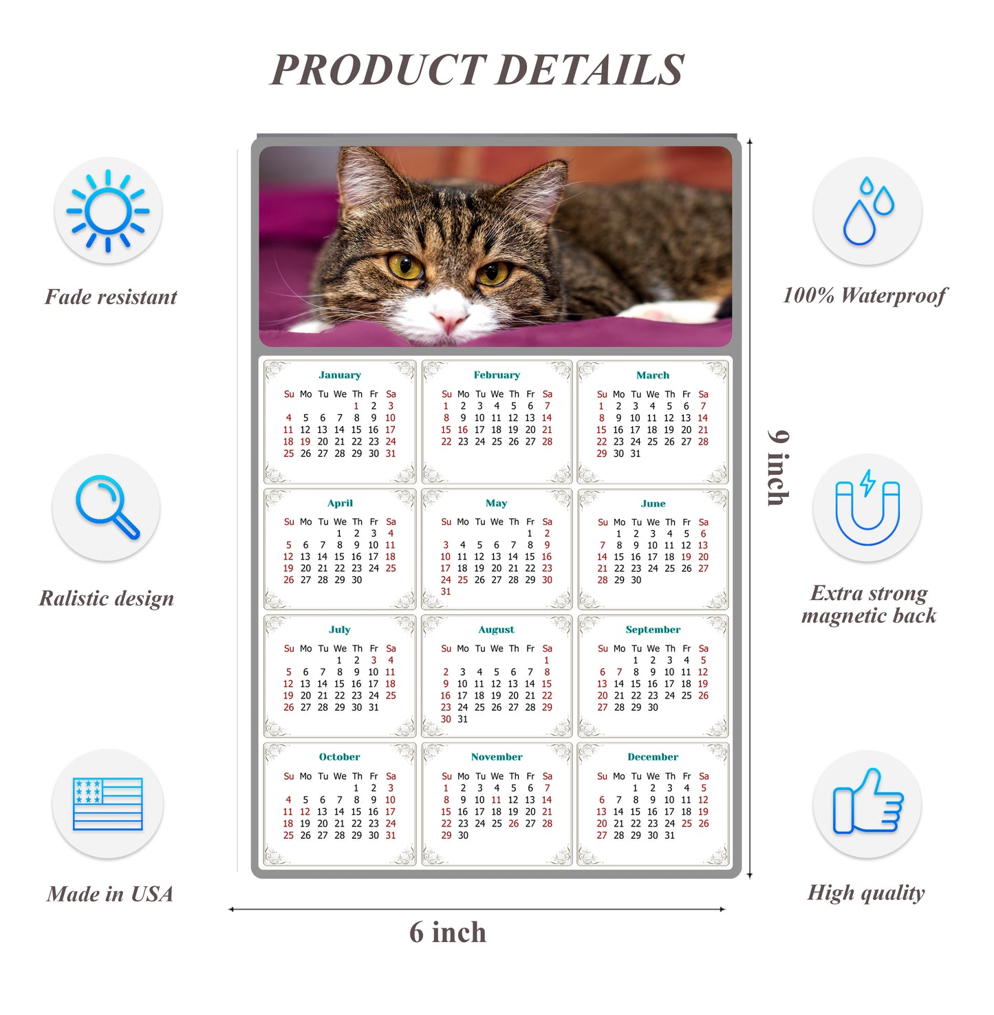 2026 Peel & Stick Calendar - Today is my Lucky Day Removable - Cat 022 (9"x 6")