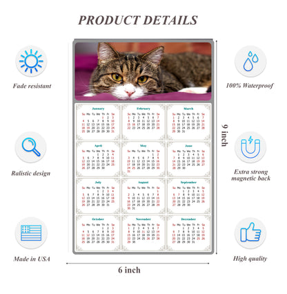 2026 Peel & Stick Calendar - Today is my Lucky Day Removable - Cat 022 (9"x 6")