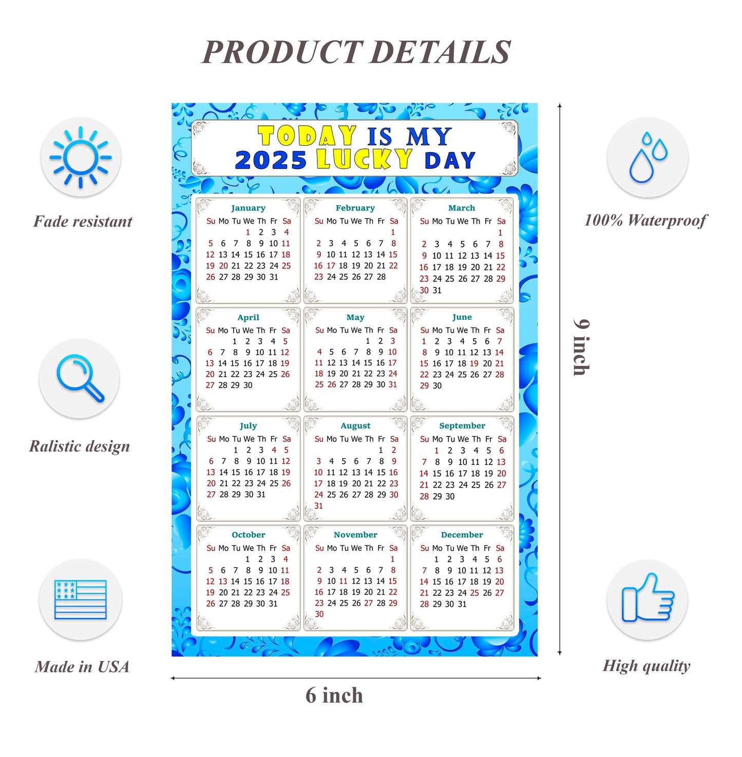 2025 Peel & Stick Calendar - Today is my Lucky Day Removable - 041
