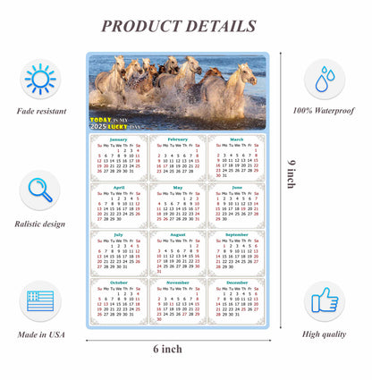 2025 Peel & Stick Calendar - Today is my Lucky Day Removable - Horses 08 (9"x 6")