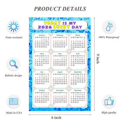 2026 Peel & Stick Calendar - Today is my Lucky Day Removable - 041
