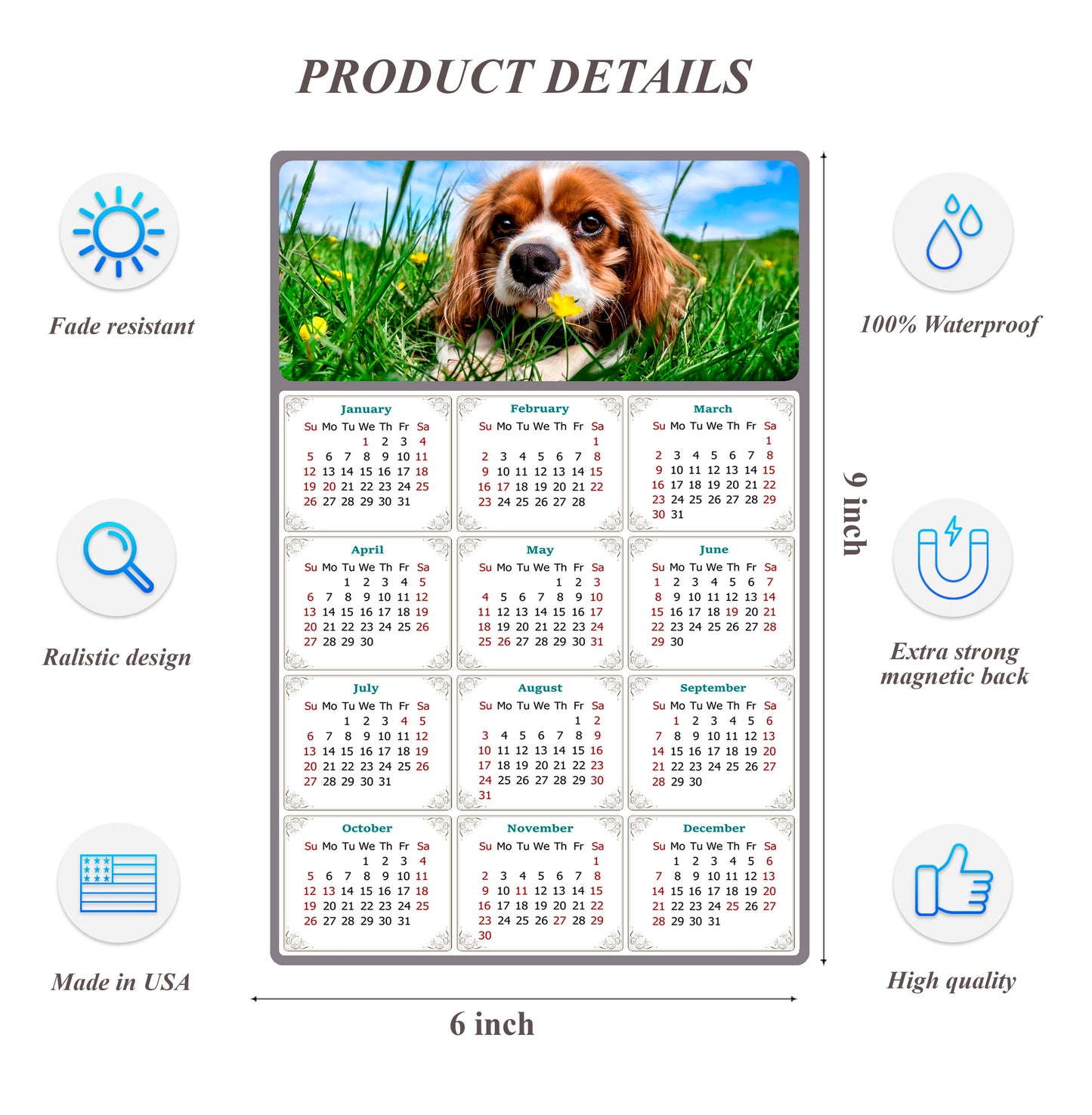2026 Peel & Stick Calendar - Today is my Lucky Day Removable - Dogs 06 (9"x 6")