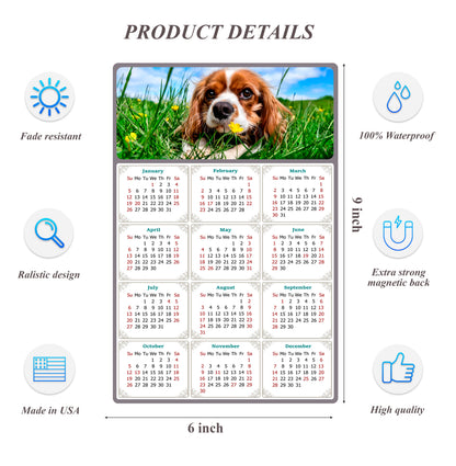 2026 Peel & Stick Calendar - Today is my Lucky Day Removable - Dogs 06 (9"x 6")