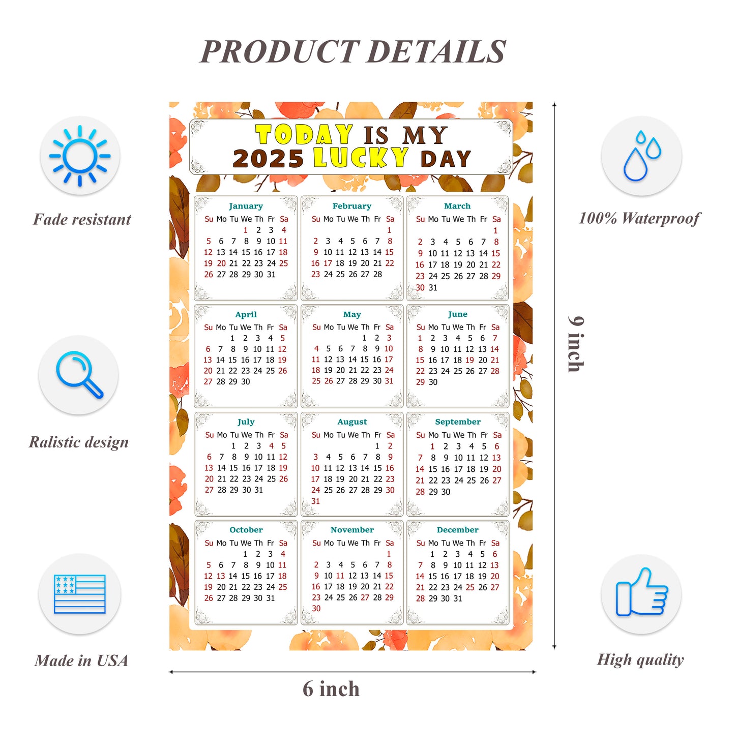 2025 Peel & Stick Calendar - Today is my Lucky Day Removable - 022