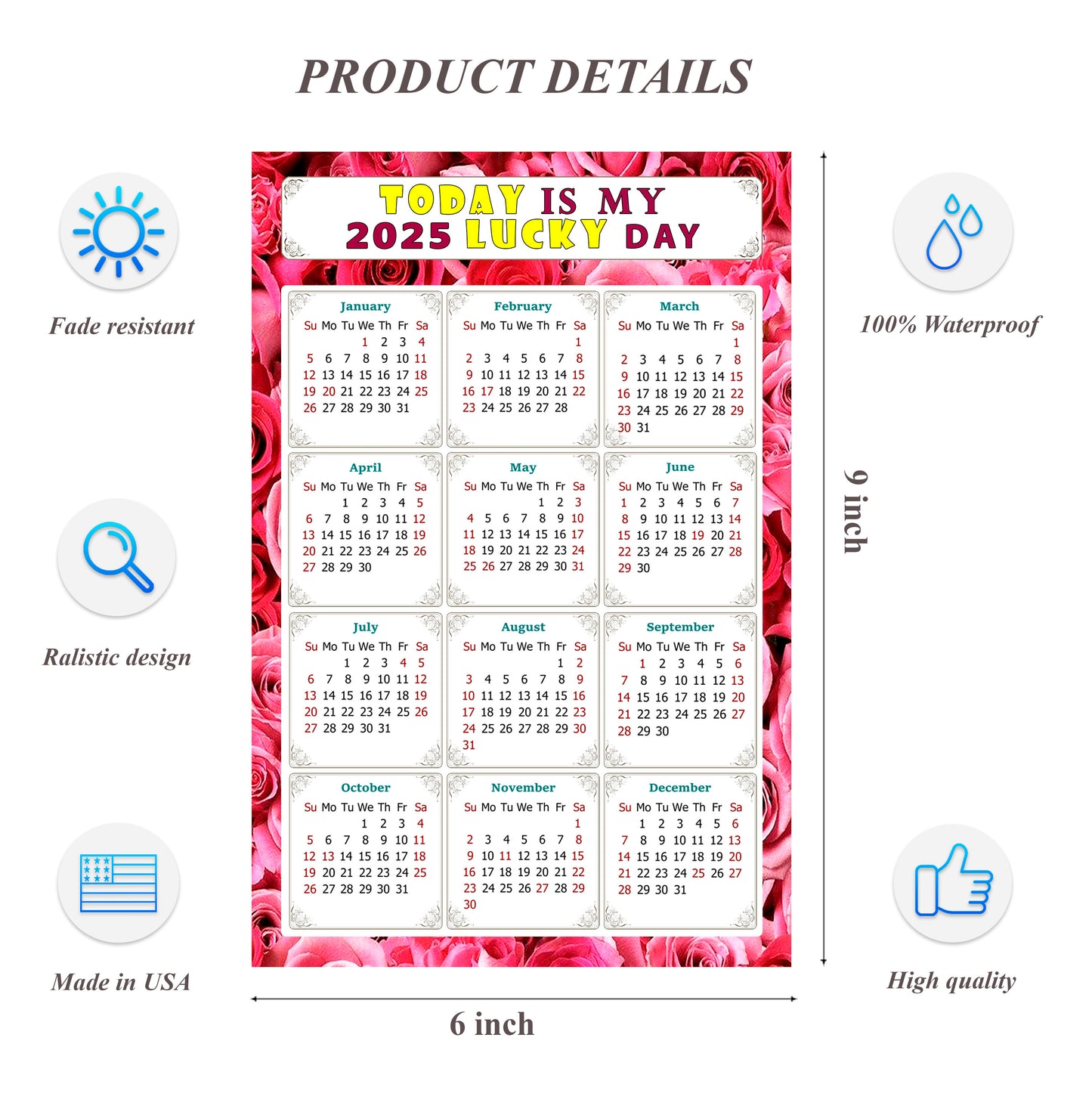 2025 Peel & Stick Calendar - Today is my Lucky Day Removable - 028