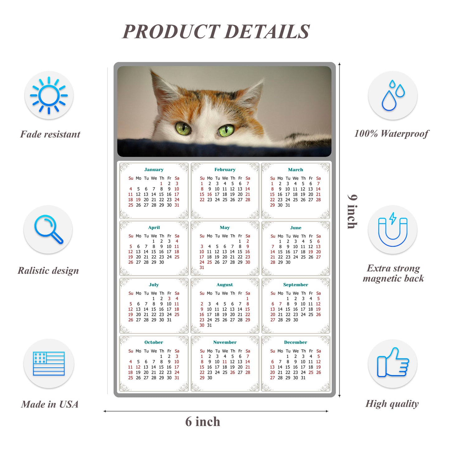 2026 Peel & Stick Calendar - Today is my Lucky Day Removable - Cat 012 (9"x 6")