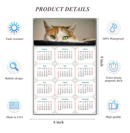 2026 Peel & Stick Calendar - Today is my Lucky Day Removable - Cat 012 (9"x 6")
