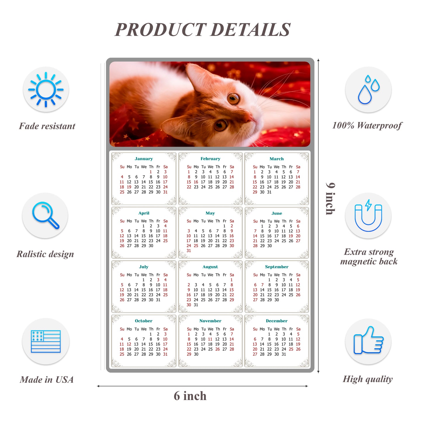 2026 Peel & Stick Calendar - Today is my Lucky Day Removable - Cat 07 (9"x 6")