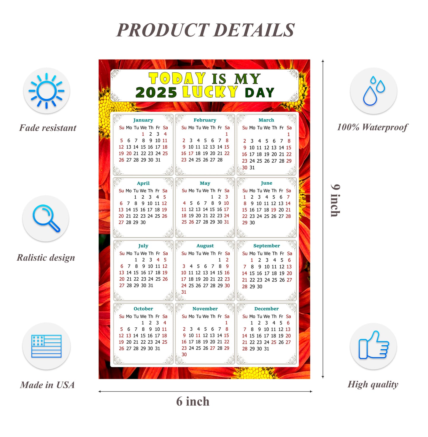 2025 Peel & Stick Calendar - Today is my Lucky Day Removable - 031