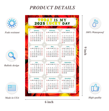 2025 Peel & Stick Calendar - Today is my Lucky Day Removable - 031
